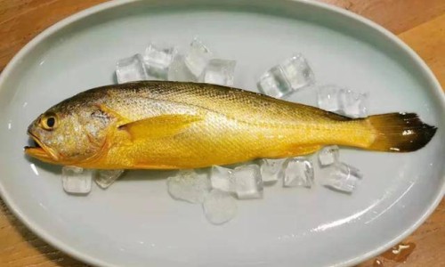 藏雪莲价格及功效-藏雪莲的价格网 - 藏雪莲价格多少钱,藏雪莲价格多少一克