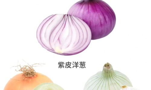 藏雪莲价格及功效-藏雪莲的价格网 - 藏雪莲价格多少钱,藏雪莲价格多少一克